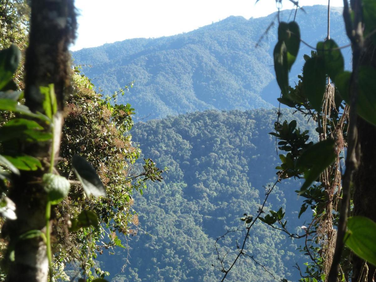 Patricia And Ned'S Cloud Forest Farm Cotacachi Exterior photo